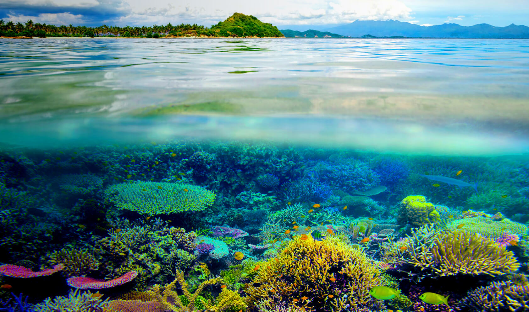 Rehlati travel website design case study banner