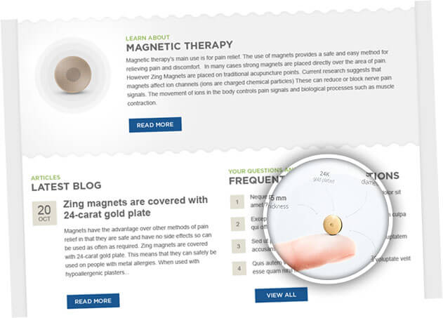 zing online shop website design case study 2